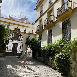 Centro-casco Antiguo -vidrio 36 Sevilla